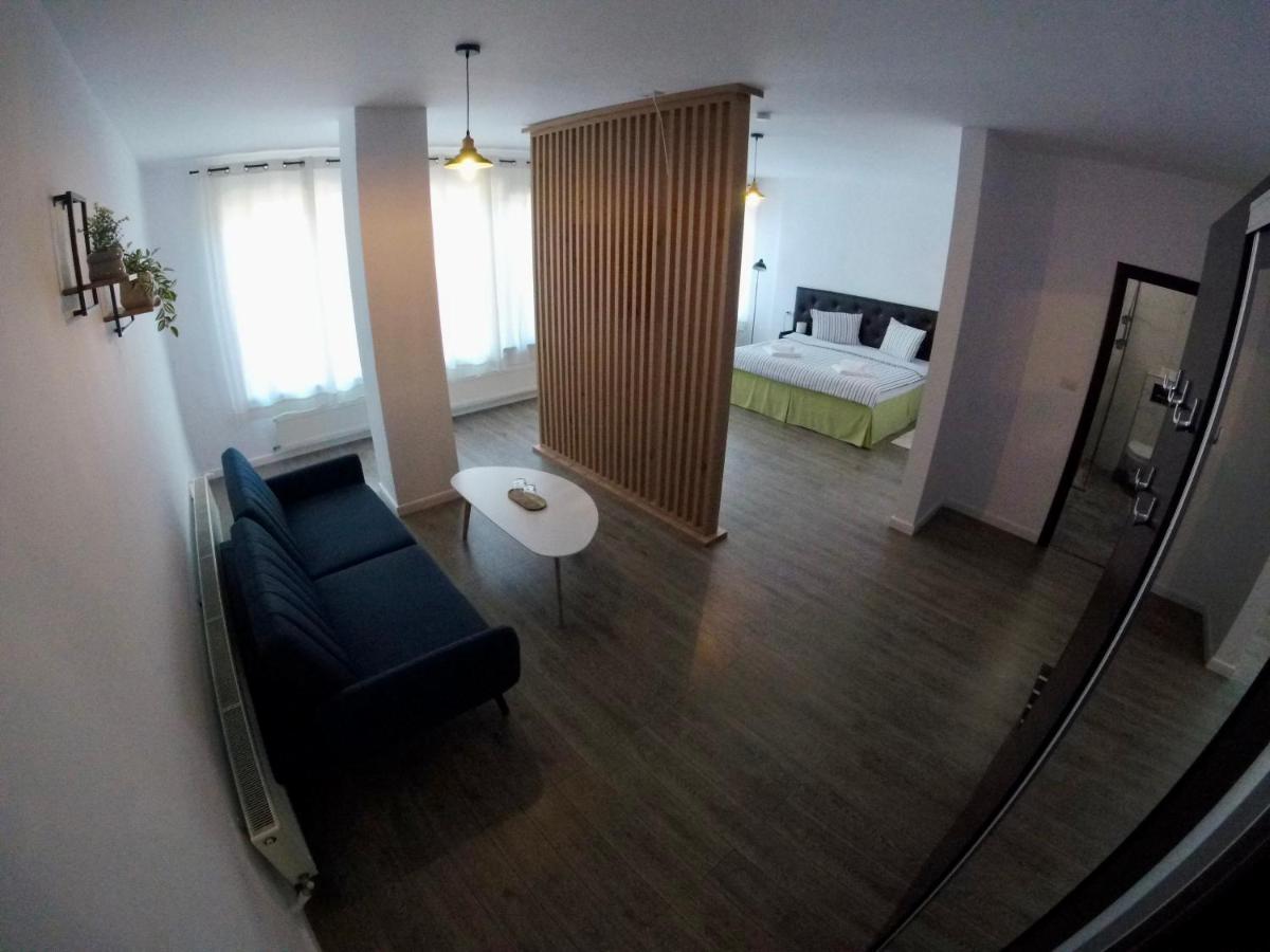 Cochet Accommodation Piatra Neamt Ngoại thất bức ảnh